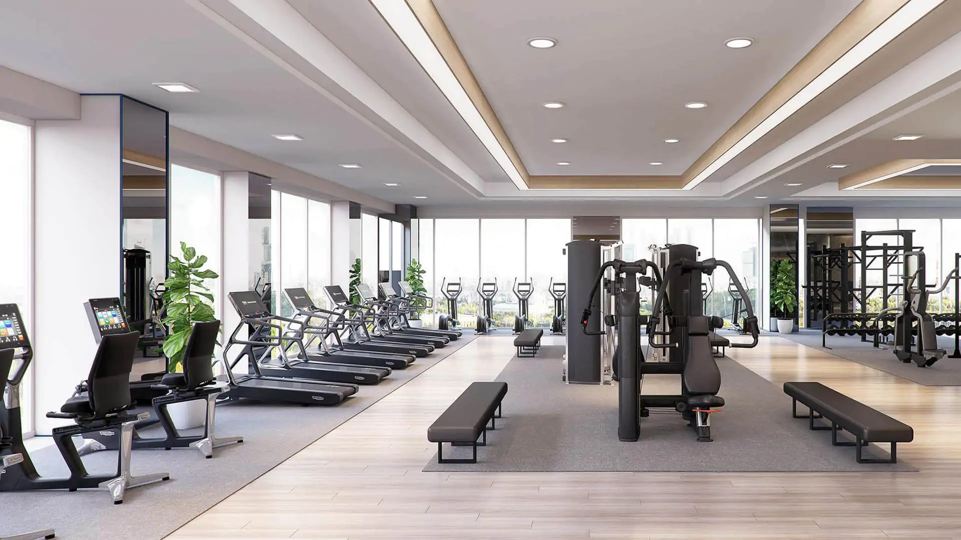 Small Gymnasium Interior Cost In Bangladesh