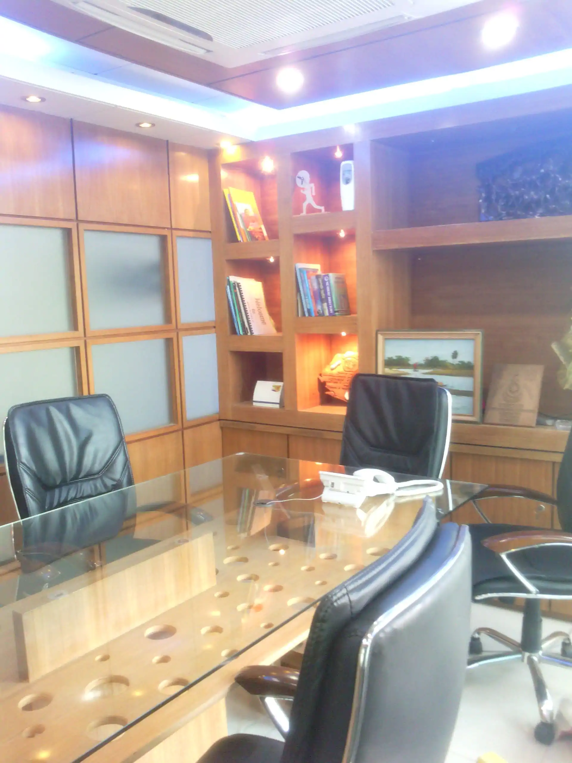 Skylark Banani Complete Project Managing Director Room Interior Design (2)