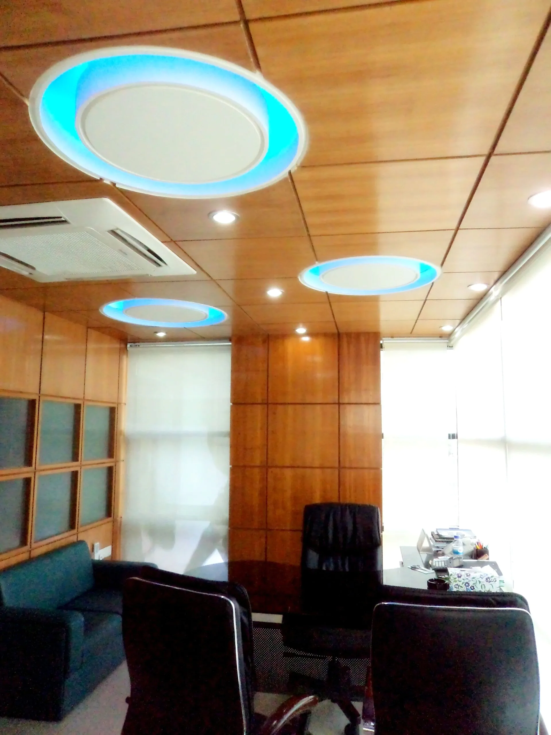 Skylark Banani Complete Project Managing Director Room Interior Design (6)